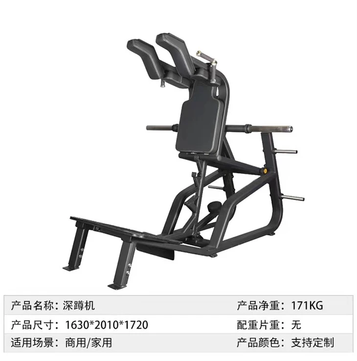 Plate-Loaded Squat Machine price